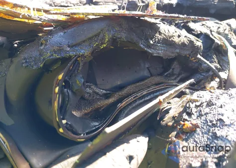 2015 Jeep Grand Cherokee Limited z USA, uszkodzony, nr VIN 1C4RJEBG5FC749976